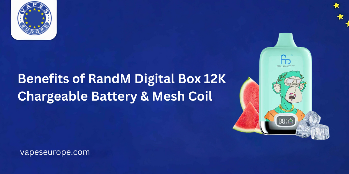 Rendm Digital Box 25000 Boite De 10