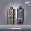 JNR Mega Box 25000 Puffs Disposable Vape (Box of 10)