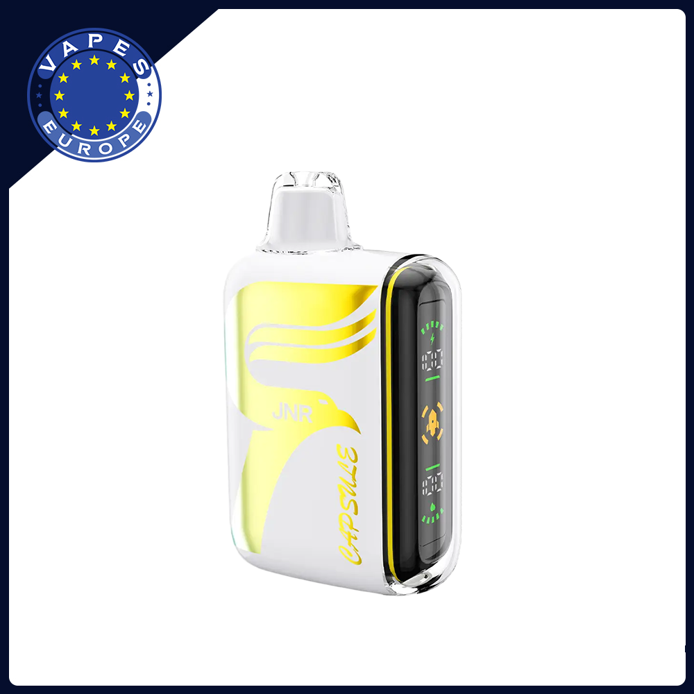 Holster Vape 15k 15000 Puffs Disposable Vapes